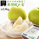 南陽園 梨 奈良県産 二十世紀梨 L / 2L / 3~4L 約2.8kg なし 中出さん こだわり 梨 専用箱入り 贈答用 数量限定 期間限定販売