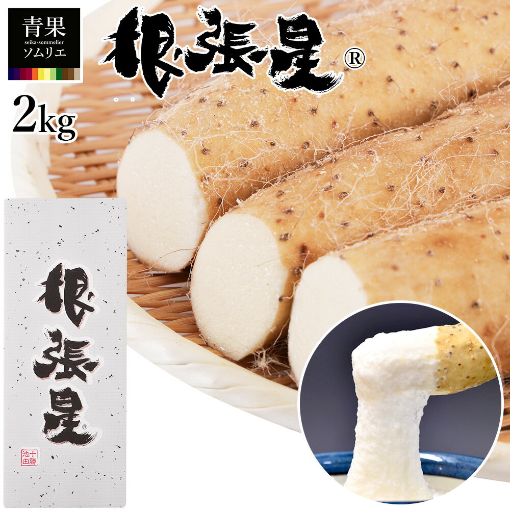 根張星 (R) 山の芋 2kg 山芋 長芋 生 ネバリスター ねばりスター 北海道 十勝 池田町産 ヤマノイモ ヤマイモ 長いも 長イモ 長薯 ギフト 贈り物 お祝い 内祝い ご家庭用 食品 グルメ 送料無料 お取り寄せ 中川郡池田町 JA十勝池田町