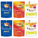 三井農林 日東紅茶 ミルクとけだすティーバッグ オリジナルブレンド しょうが紅茶 果実とけだす はちみつレモンティー 各2個(3種類合計6個セット)