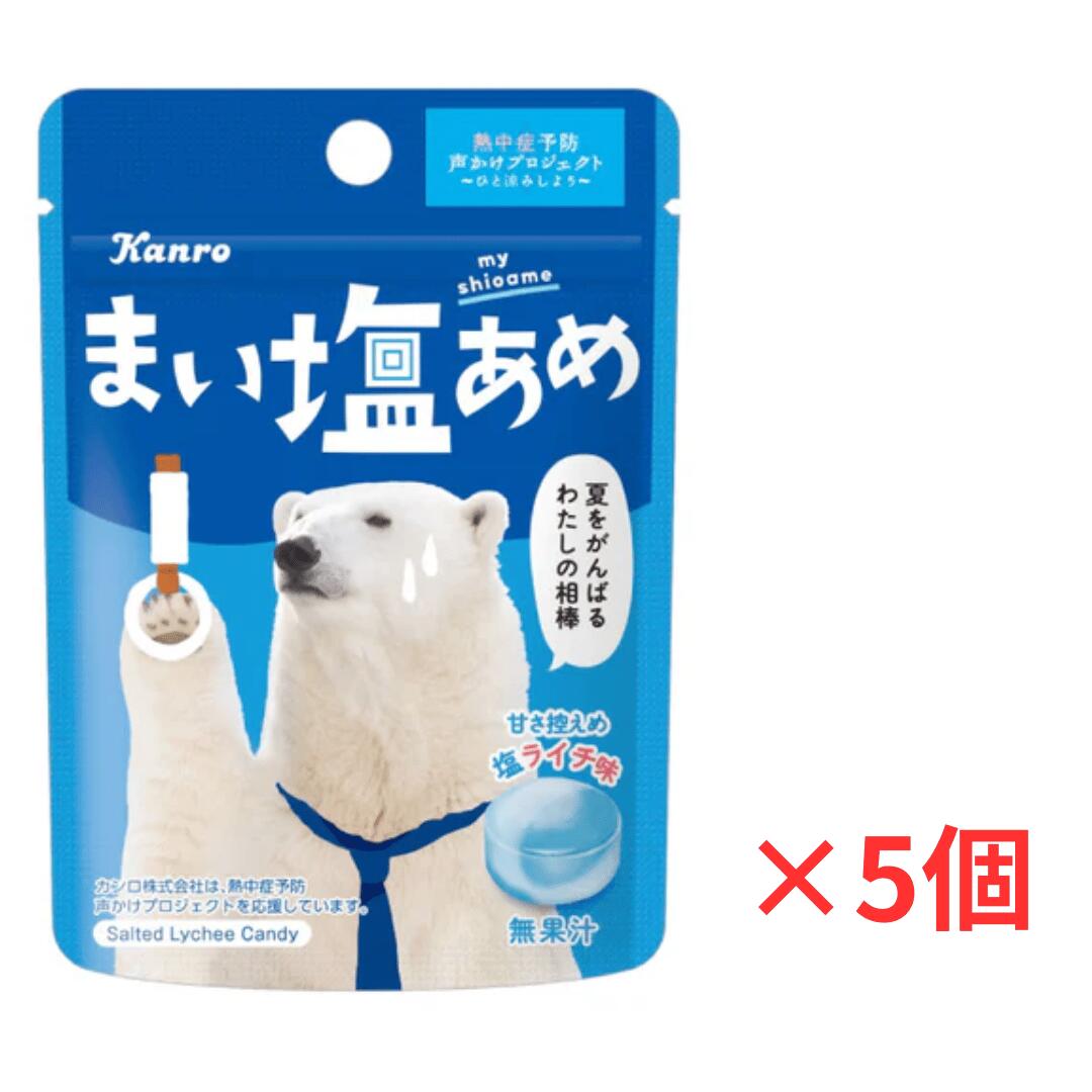 楽天スーパーセール【開始4時間限定】ポイントアップ5倍カンロ まい塩あめ 塩ライチ味 26g×5個