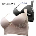 補正下着 ブラジャー 背中補正ブラ ノンワイヤー 幅広ストラップ 背中クロステープ モールドカップ パワーネット 補正下着 レディース1959【おまかせ便で送料...
