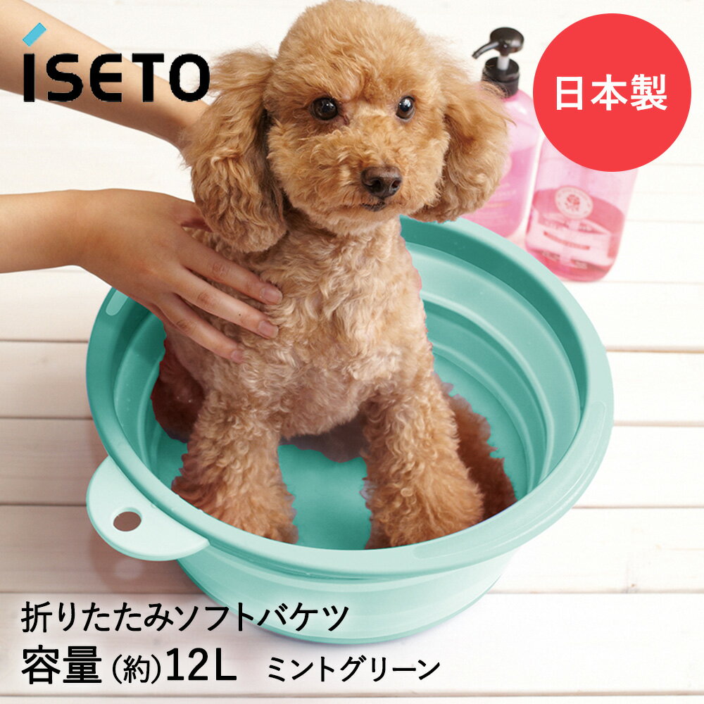 折りたたみ 洗い桶 タブ ソフトタブ 12L ミントグリーン I-615 ISETO 日本製 | シ