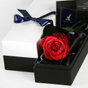 Makefuture Diamond Rose プリザーブドフラワー 花 バラ 化粧箱入り 1輪 (ブライトレッド, オプションなし)