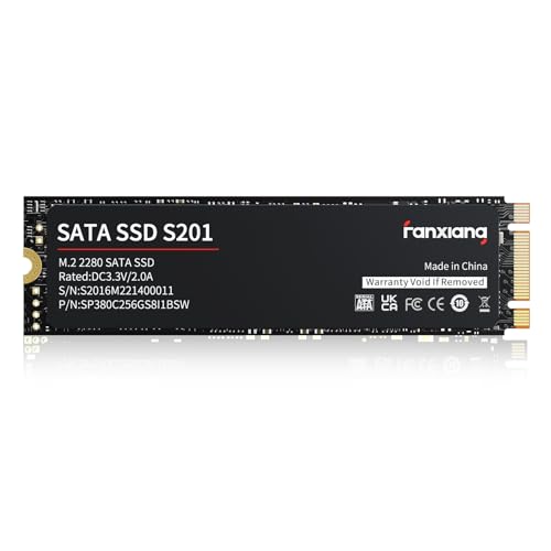 fanxiang S201 2TB M.2 SSD 2280 SATA III 6Gb/s \bhXe[ghCu SLCLbV x ǎ葬xő550MB/b m[gp\RPCfXNgbvɑΉ (ubN)