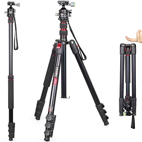 ջ INNOREL ȥ٥ ӲѼ  15KGѲٽ 197CMȹ⤵ 36MMſդ ѥȥ...