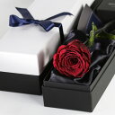 Makefuture Diamond Rose プリザーブドフラワー 花 バラ 化粧箱入り 1輪 (アンティークレッド, ショッパー+国産ローズフレグランス付き)