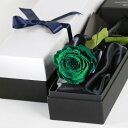 Makefuture Diamond Rose プリザーブドフラワー 花 バラ 化粧箱入り 1輪 (ブリティッシュグリーン, オプションなし)