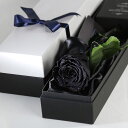 Makefuture Diamond Rose プリザーブドフラワー 花 バラ 化粧箱入り 1輪 (レザーブラック, オプションなし)