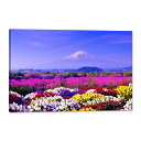 富士山 桜 花 アートパネル 白雲 絵 壁掛け 赤富士 風景画 ポスター 壁掛け 玄関 風水 開運 アート 装飾画 木枠付きの完成品(40x60cm)