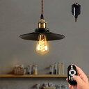 ANWIO ペンダントライト ダクトレール式 直径22cm 吊り下げライト E26口金 300LM 4.5W(20W形相当) LED電球付き 北欧風 シーリング...