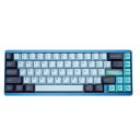 Mechkeys VARMILO Muse65 有線キーボード、磁気スイッチ付き、0.02MM までの高速トリガー、完全 CNC メタルケースと UV ミラーガラスバックプレートを備えた FPS プレーヤー向けゲーミングキーボード (Au Rora, 磁気