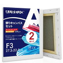 AUREUO 張りキャンバス セット F3 (27.3cmx22.0cm) 中目 綿化繊混紡 2枚 初心者 絵画用具 芸術絵創作 現代油絵 美術装飾 水彩画・油...