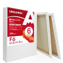 AUREUO 張りキャンバス セット F6 (41.0cmX31.8cm) 中目 100%コットン 6枚 初心者 絵画用具 芸術絵創作 現代油絵 美術装飾 水彩画・油絵画・アクリル兼用