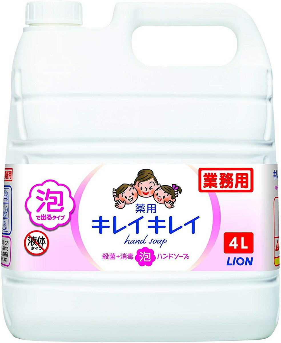 キレイキレイ 薬用 泡ハンドソープ シトラスフルーティの香り 液体 単品 4L(医薬部外品) コストコ 全国一律送料無料 あす楽