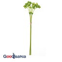 アスカ 造花 ヒペリカムバンチ グリーン 全長:約36cm、実:約1cm 1束(3本組) A-47982-051A ( リアル 本物そっくり 花 ヒペリカム フ...