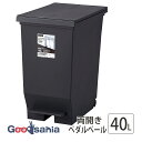 アスベル ゴミ箱 エバン 両開きペダルペール 日本製 ブラック 40L A6304-07 ( ごみ箱 ペダル 両開き 観音開き 40l 踏む ふた付き ふた フタき カウンター下 カウンター )