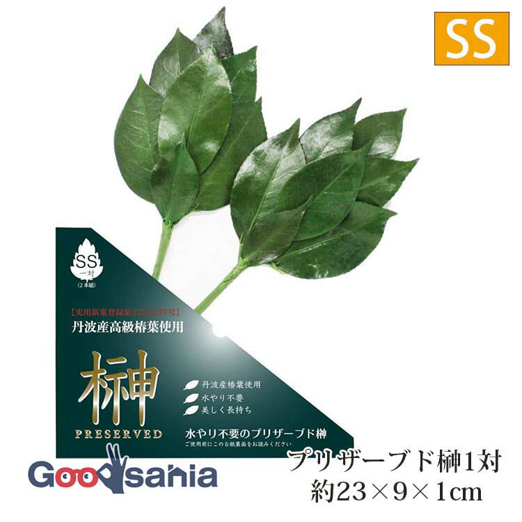 【早い者勝ち！最大400円OFFクーポン配布】A&K 榊 プリザーブド榊 SSサイズ 一対 2本組 日本製 グリー..