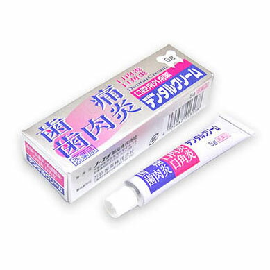 【第2類医薬品】デンタルクリーム(歯痛・口内炎)5g