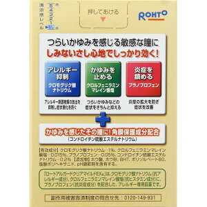 【第2類医薬品】★ロートアルガードクリアマイルドEXa 13mL