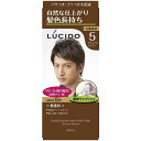 ルシード ワンプッシュケアカラー ナチュラルブラウン 1剤50g・2剤50g