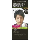 ルシード ワンプッシュケアカラー アッシュブラウン 1剤50g・2剤50g
