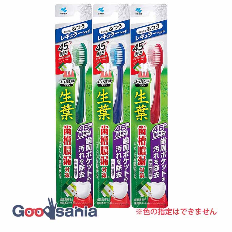 小林製薬 生葉45度磨きブラシ レギュラー ふつう 1本入