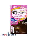 ビゲン 香りのヘアカラークリーム 3NA 明るいナチュラリーブラウン 1セット