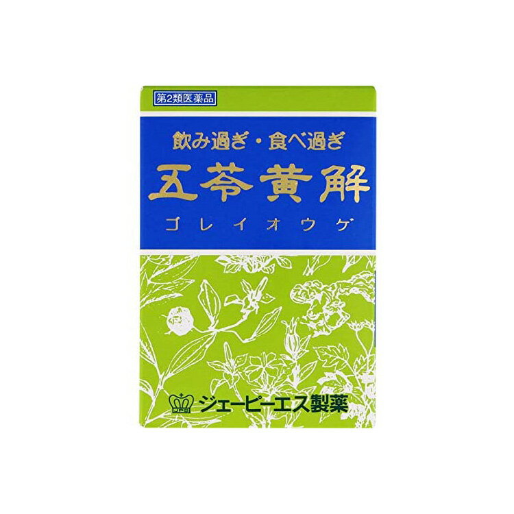 【早い者勝ち！最大400円OFFクーポン配布】 【第2類医薬品】五苓黄解内服液 30mL×2