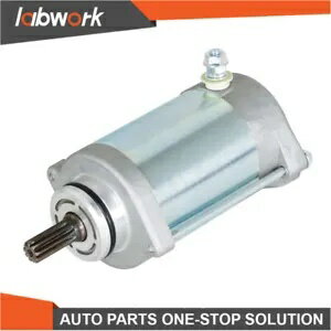 Labwork スターターモーター Arctic Cat 1000 Prowler XTZ Thunder Cat 0825-015 用 Labwork Starter Motor for Arctic Cat 1000 Prowler XTZ Thunder Cat 0825-015