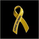 黄色は帽子のベストやラペル用の軍隊の退役軍人ピンをサポートします Yellow Support Our Troops Military Veteran Pin for Hat Vest or Lapel