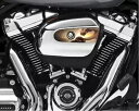 Dragon Lady エア クリーナー インサートは、ストック 107 HD インサートを交換します。アメリカ製 Dragon Lady Air Cleaner Insert Replaces Stock 107 HD Insert. USA Made(2)