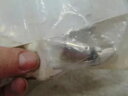 ハーレー ウインカー バルブ 99-02 ビューエル XL、00-10 ブラスト 5 パック P/N 68968-99Y Harley Turn Signal Bulb 99-02 Buell XL, 00-10 Blast 5 Pack P/N 68968-99Y(2)