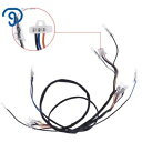 * キーなし * トースなし * オイルタンクなし * 配線ハーネス ヤマハ ブラスター 1988-2002 *NO KEY *NO TORS *NO OIL TANK* Wiring harness For Yamaha Blaster 1988-2002