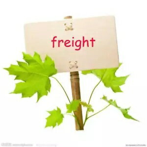 楽天カスタムパーツ WORLD倉庫これは貨物 BR を構成するためのリンクであることを思い出してください。 Kindly remind you that This is a link to make up the freight BR