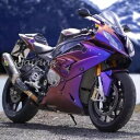 カメレオン ブルー パープル塗装フェアリングキット BMW S1000RR 2009-2021 ボディフレーム用 Chameleon Blue Purple Painted Fairing Kit for BMW S1000RR 2009-2021 Body Frame
