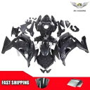 FT 射出鍛造カーボンファイバーフェアリング カワサキ 2020-2024 EX650 a045 に適合 FT Injection Forged Carbon ...