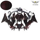 FT レッドカーボンファイバーフルフェアリング Kawasaki Ninja 2019-2023 ZX6R a072 に適合 FT Red Carbon Fib...