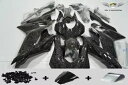 NTU 鍛造カーボンファイバー塗装 ABS フェアリング ヤマハ YZF R6 2017-2020 ボディワーク用 NTU Forged Carbon Fibe...