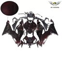 NTU レッドカーボンファイバーフルフェアリング Kawasaki Ninja 2019-2023 ZX6R a072 に適合 NTU Red Carbon F...