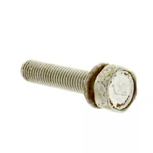 Mercury Marine Mercruiser  OEM ͥ (1 1/4 ) 10-37923 Mercury Marine Mercruiser New OEM Screw (1 1/4