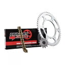 ATV/UTV 用プライマリードライブスチールキット & ゴールド X リングチェーン 1022610185 Primary Drive Steel Kit & Gold X-Ring Chain 1022610185 for ATV/UTV(2)