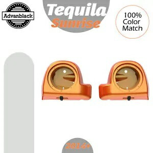 TEQUILA SUNRISE 14+ ハーレー 6.5 インチ 