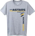 アルパインスターズ ビューイング ヘザー グレー T シャツ Alpinestars Viewing Heather Gray T-Shirt