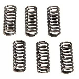 Tusk åץ󥰤ϥۥ CR125R CRF230F XR200 XR200R 1122370003 Ŭ礷ޤ Tusk Clutch Springs Fits HONDA CR125R CRF230F XR200 XR200R 1122370003