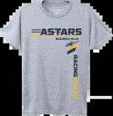 アルパインスターズ ビューイング T シャツ L グレー Alpinestars Viewing T-Shirt Large Gray