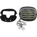 カスタム ダイナミクス スモーク ProBEAM 一体型ロープロファイル LED テールライト (ボトムタグ付き) Custom Dynamics Smoke ProBEAM Integrated Low Profile LED Taillight w Bottom Tag