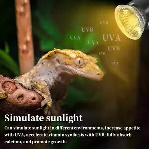 2 電球調整可能なバスキング ヒーター ランプ クリップ付き 爬虫類 ヒート ランプ カメ トカゲ 2 Bulb Adjustable Basking Heating Lamp with Clip Reptile Heat Lamp Turtle Lizard