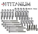 M6 6mm チタンボルト 6x16-6x75 グレード 5 Ti ソケットヘッドキャップネジ M6 6mm Titanium Bolts 6x16-6x75 ...