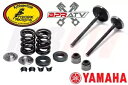 Big Bear 400 YFM400 YFM 400 インテーク エキゾースト バルブ キット & Ti KIBBLEWHITE スプリング キット Big Bear 400 YFM400 YFM 400 Intake Exhaust Valve Kit & Ti KIBBLEWHITE Spring Kit(2)