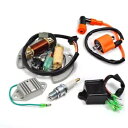 点火コイルスパークプラグ CDI レギュレータ & ステータヤマハブラスター YFS200 97-01 Ignition Coil Spark Plug CDI Regulator & Stator For Yamaha Blaster YFS200 97-01(2)